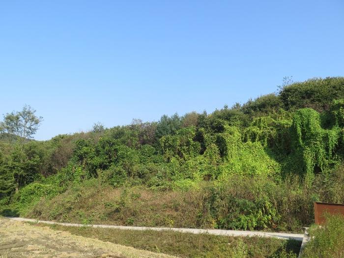 경기 양평군 양동면 답 경매 물건 사진