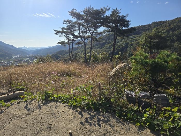 경기 양평군 용문면 임야 경매 물건 사진 6 · 2024타경5696