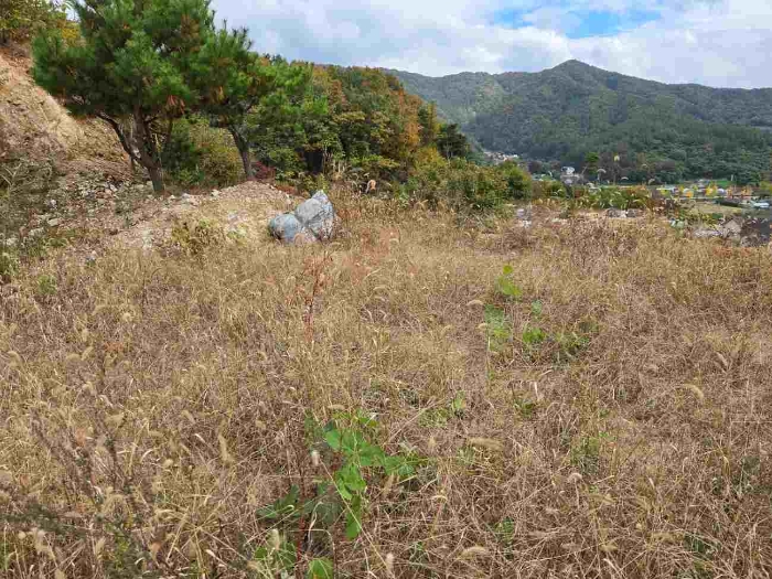 경기 양평군 용문면 임야 경매 물건 사진