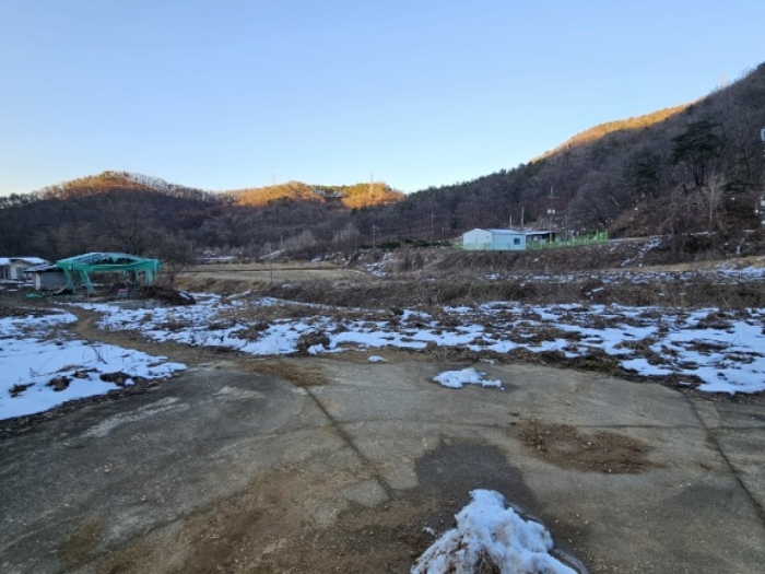경기 양평군 용문면 대지,임야,전답 경매 물건 사진 4 · 2024타경5962