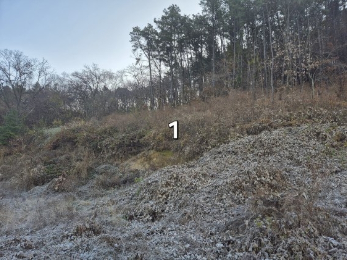 경기 양평군 지평면 대지,임야,전답 경매 물건 사진 2 · 2024타경6446