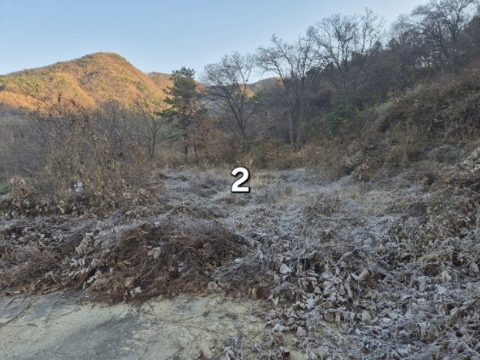 경기 양평군 지평면 대지,임야,전답 경매 물건 사진 3 · 2024타경6446