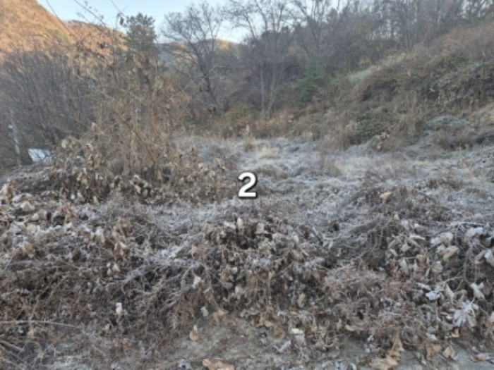 경기 양평군 지평면 대지,임야,전답 경매 물건 사진 4 · 2024타경6446