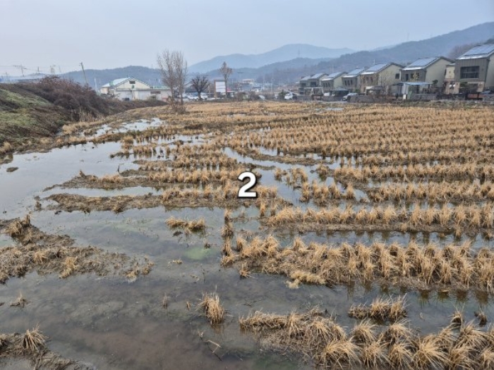 경기 여주시 강천면 전답 경매 물건 사진