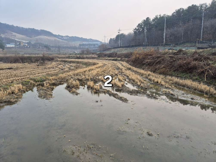 경기 여주시 강천면 전답 경매 물건 사진 6 · 2024타경6583