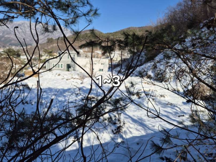 경기 양평군 용문면 임야 경매 물건 사진 4 · 2024타경6682