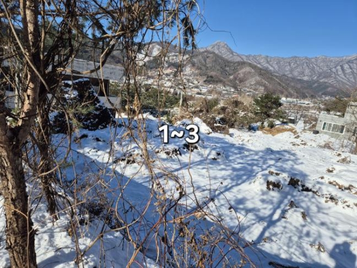 경기 양평군 용문면 임야 경매 물건 사진 5 · 2024타경6682