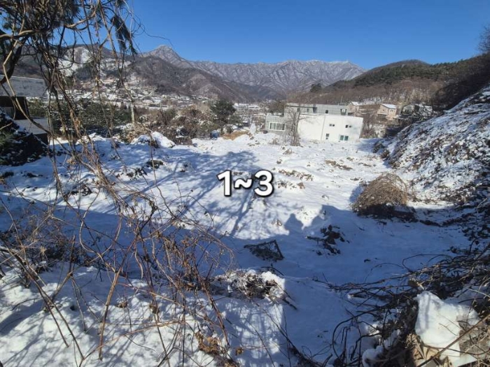 경기 양평군 용문면 임야 경매 물건 사진 6 · 2024타경6682