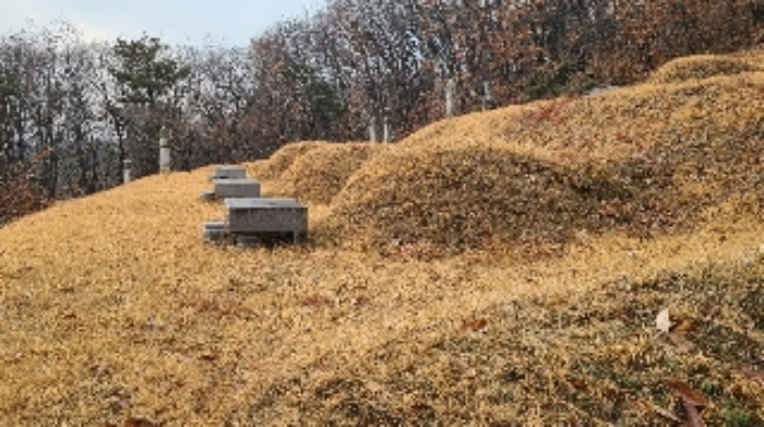 경기 여주시 대신면 임야 경매 물건 사진 3 · 2024타경6941