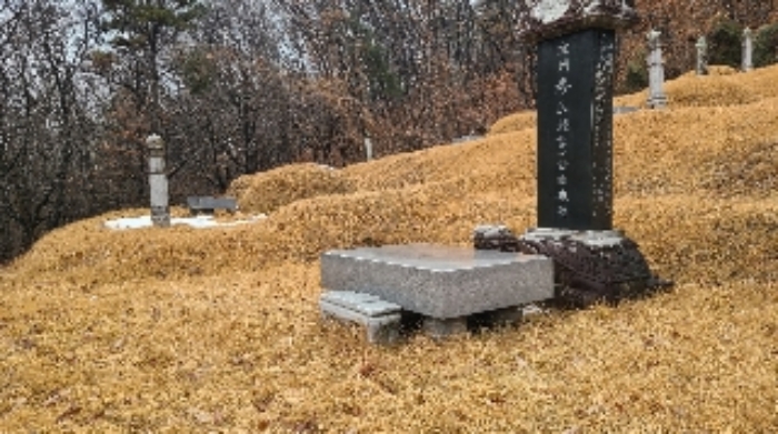 경기 여주시 대신면 임야 경매 물건 사진 5 · 2024타경6941