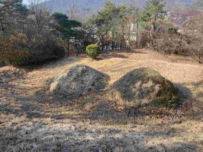 경기 여주시 점봉동 임야 경매 물건 사진 4 · 2024타경820