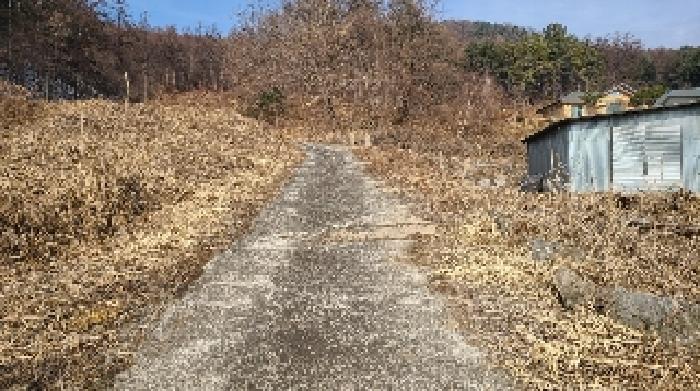 경기 양평군 양동면 도로 경매 물건 사진