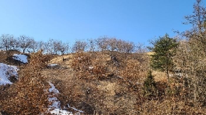 경기 양평군 양동면 임야 경매 물건 사진 3 · 2025타경30385