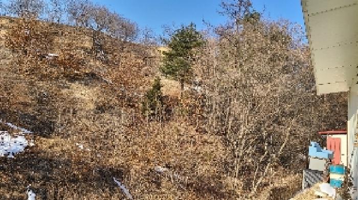 경기 양평군 양동면 임야 경매 물건 사진 5 · 2025타경30385