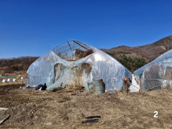 경기 양평군 양평읍 전답 경매 물건 사진 4 · 2025타경30904
