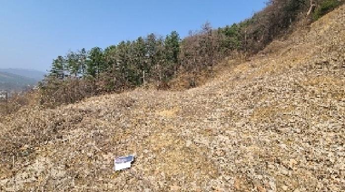 경기 양평군 강하면 임야 경매 물건 사진 4 · 2025타경31007