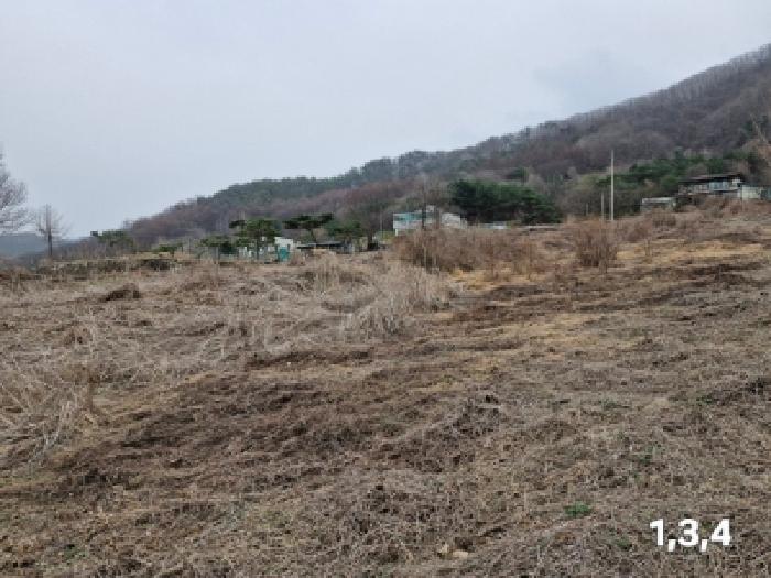 경기 양평군 단월면 목장용지 경매 물건 사진