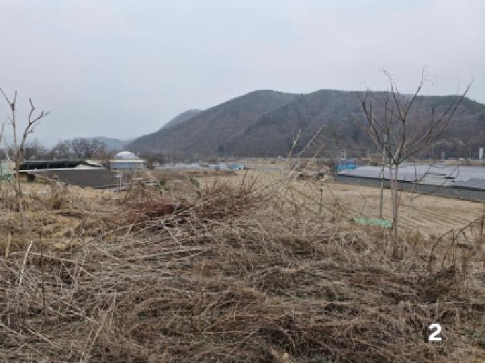경기 양평군 단월면 목장용지 경매 물건 사진 3 · 2025타경31011