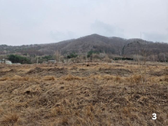 경기 양평군 단월면 목장용지 경매 물건 사진 4 · 2025타경31011