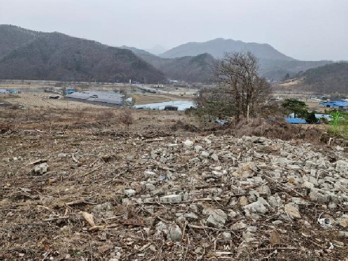 경기 양평군 단월면 목장용지 경매 물건 사진 5 · 2025타경31011