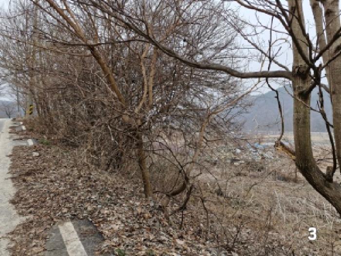 경기 양평군 단월면 목장용지 경매 물건 사진 6 · 2025타경31011