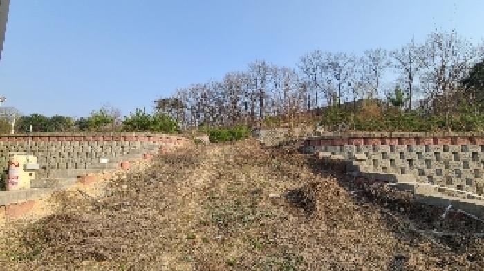 경기 여주시 대신면 임야 경매 물건 사진
