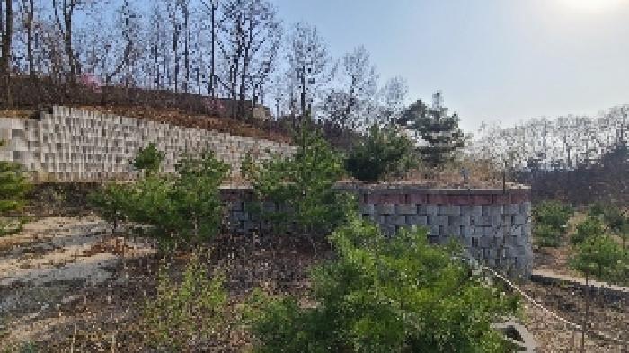 경기 여주시 대신면 임야 경매 물건 사진 3 · 2025타경31042