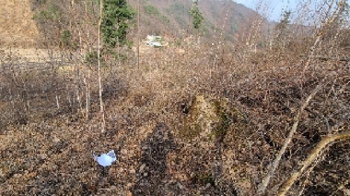 경기 양평군 강하면 도로 경매 물건 사진