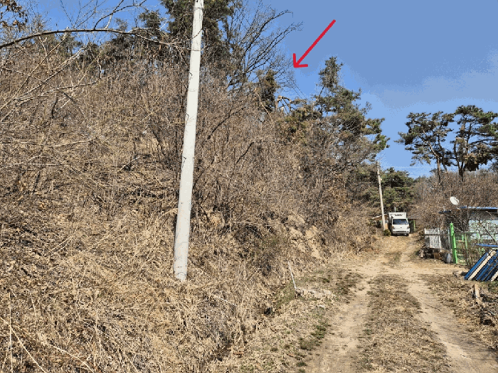 경기 여주시 북내면 임야 경매 물건 사진 5 · 2025타경31082