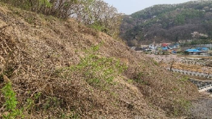 경기 여주시 산북면 임야 경매 물건 사진 2 · 2025타경31084