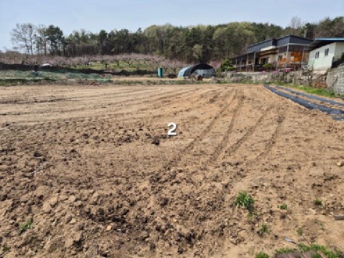 경기 여주시 가남읍 대지 경매 물건 사진 5 · 2025타경31093