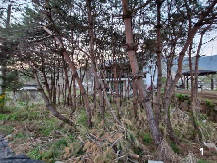 경기 양평군 옥천면 대지,임야,전답 경매 물건 사진 3 · 2025타경31096