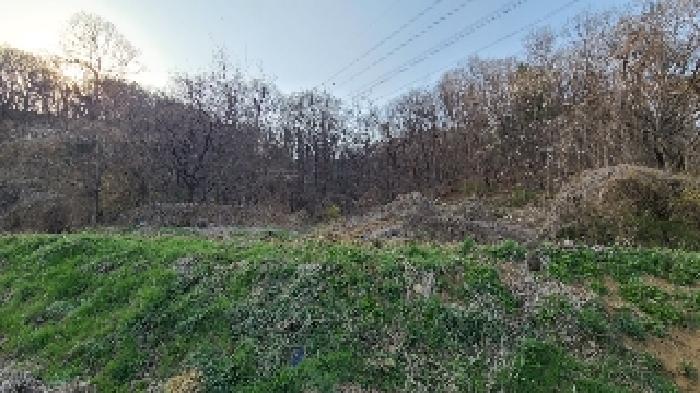 경기 양평군 개군면 임야 경매 물건 사진 3 · 2025타경31098