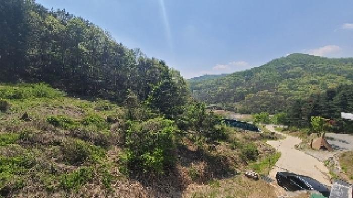 경기 여주시 금사면 임야 경매 물건 사진