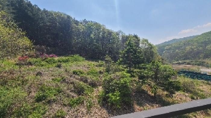경기 여주시 금사면 임야 경매 물건 사진 5 · 2025타경31120