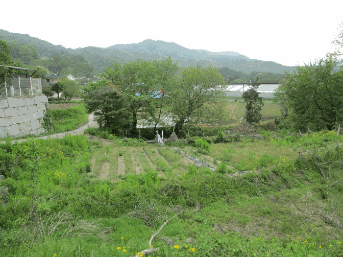 경기 양평군 지평면 전답 경매 물건 사진 5 · 2025타경31171