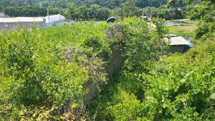 경기 양평군 강하면 대지,임야,전답 경매 물건 사진