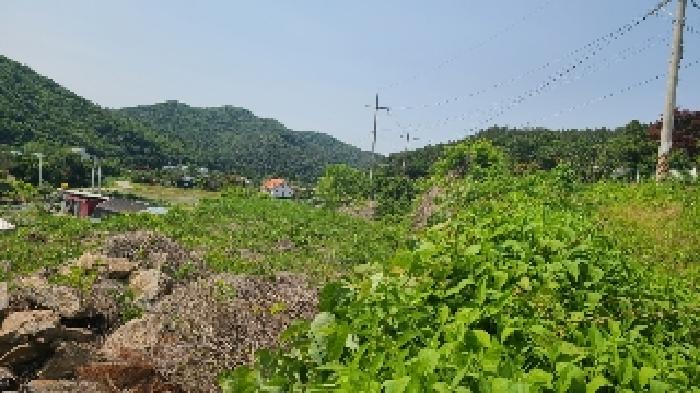 경기 양평군 강하면 대지,임야,전답 경매 물건 사진 4 · 2025타경31215