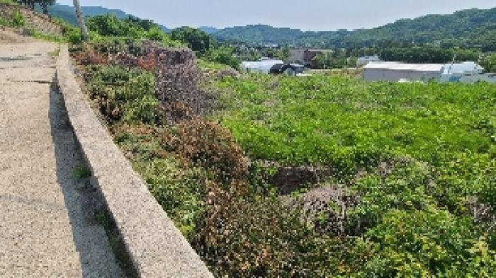 경기 양평군 강하면 대지,임야,전답 경매 물건 사진 5 · 2025타경31215