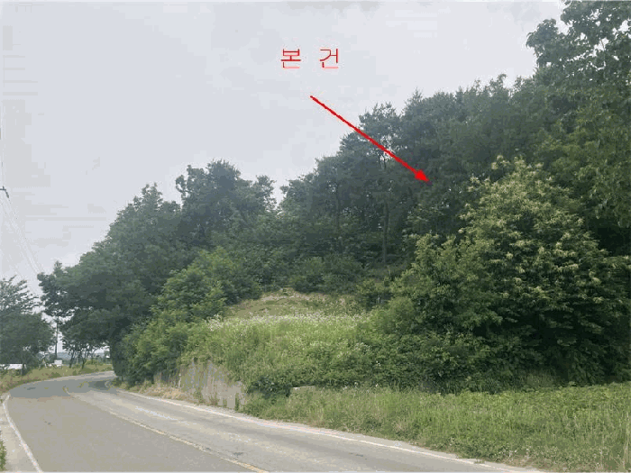 경기 여주시 세종대왕면 임야 경매 물건 사진 5 · 2025타경31263