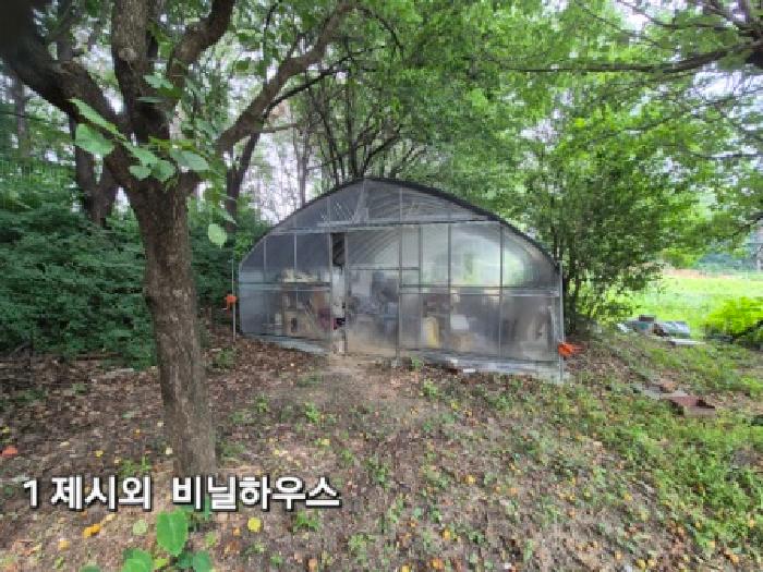 경기 이천시 설성면 단독주택 경매 물건 사진 5 · 2025타경31386