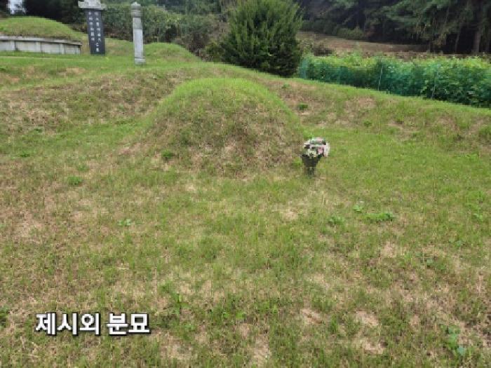 경기 이천시 율면 전답 경매 물건 사진 3 · 2025타경31574