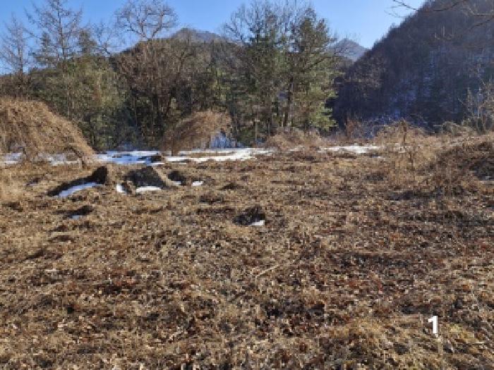경기 양평군 청운면 대지,임야,전답 경매 물건 사진
