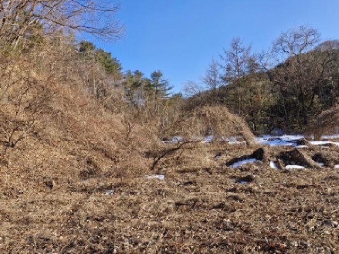 경기 양평군 청운면 대지,임야,전답 경매 물건 사진 2 · 2025타경339