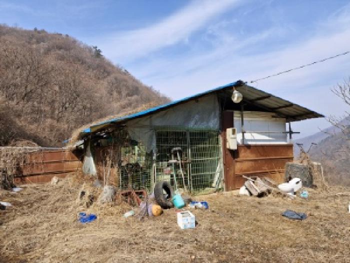경기 양평군 서종면 목장용지 경매 물건 사진