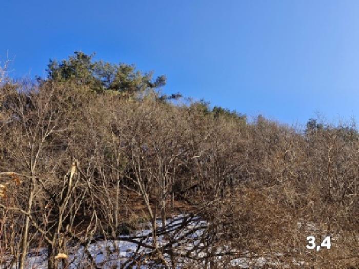 경기 양평군 청운면 임야 경매 물건 사진 6 · 2025타경488