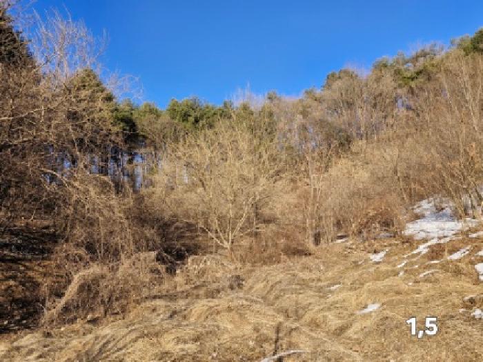 경기 양평군 청운면 임야 경매 물건 사진 2 · 2025타경488