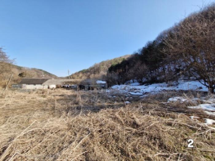 경기 양평군 단월면 전 경매 물건 사진