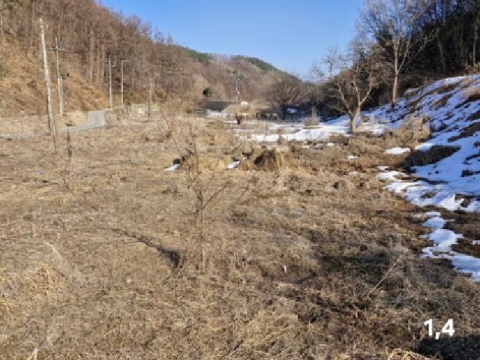 경기 양평군 단월면 전 경매 물건 사진 6 · 2025타경506