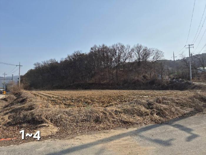 경기 여주시 점동면 전 경매 물건 사진 5 · 2025타경531
